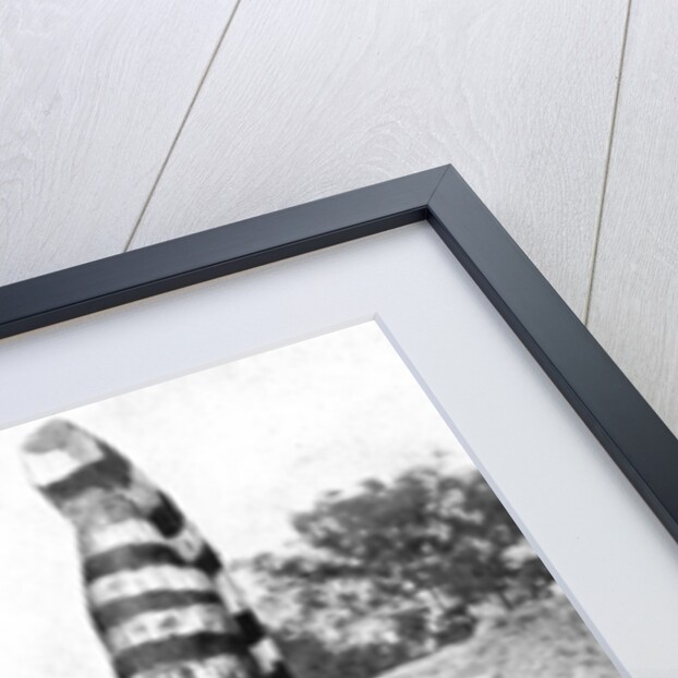 Sesame mill painted in honour of a Hindu goddess, India by Ewing Galloway