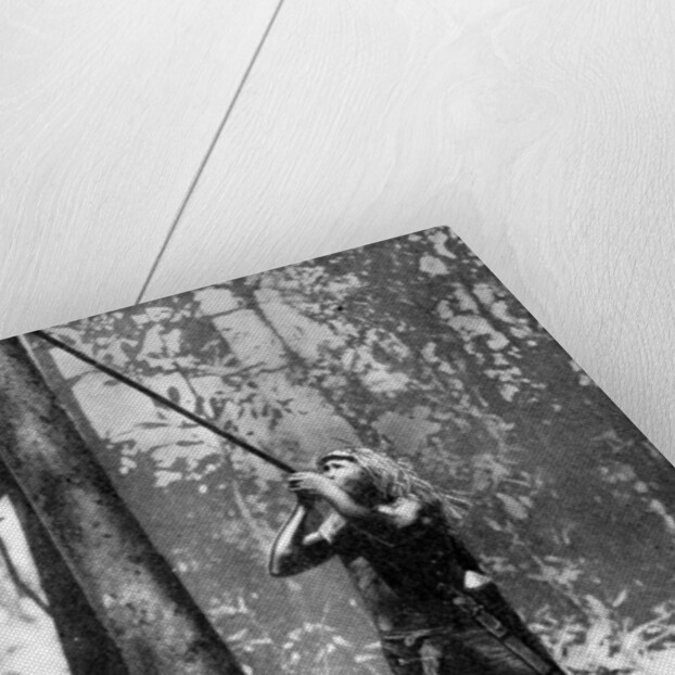Pygmy tree dweller using a blow-gun, Malaya by Malayan Malayan Information Agency