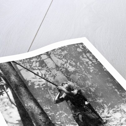Pygmy tree dweller using a blow-gun, Malaya by Malayan Malayan Information Agency
