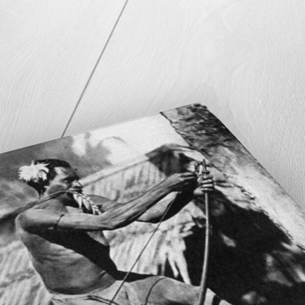 A huntsman stringing his bow by Wide World Photos