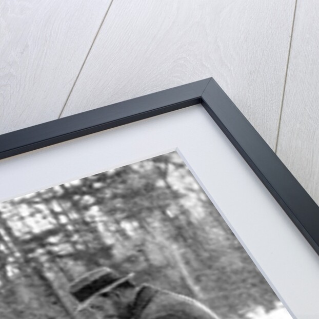 Tapping for maple syrup, Canada by Canadian Government