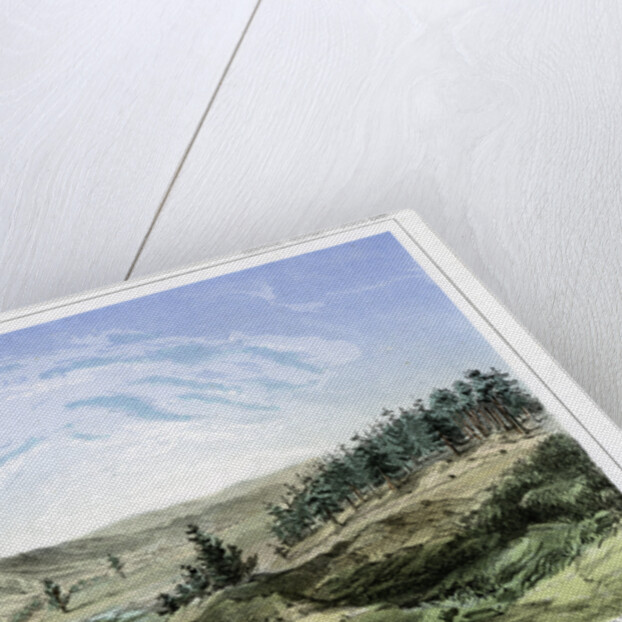 Hot Springs at their source in Lou Lou Fork, Bitterroot Mountains, Montana, USA by John Mix Stanley
