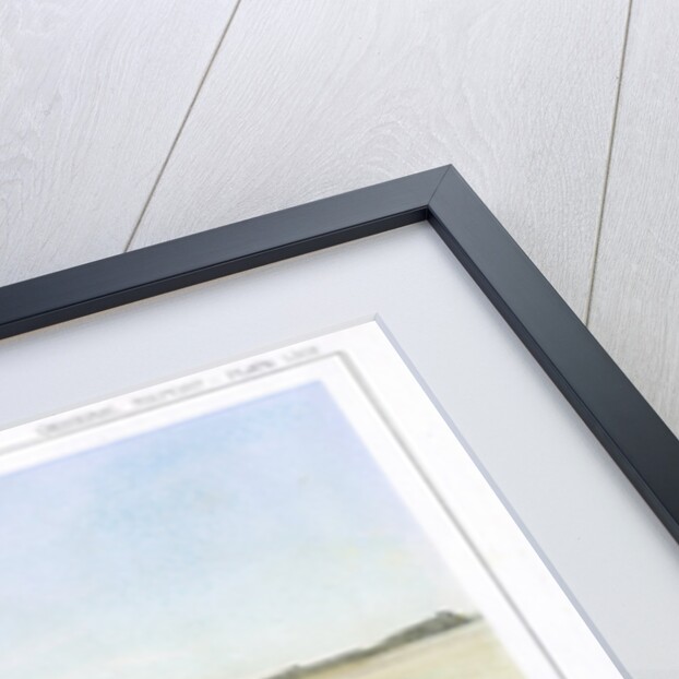 The Rocky Mountains, looking westward, USA by John Mix Stanley