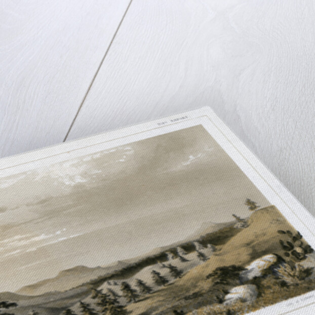 The Black Forest Mount Hope and Sierra Prieta, USA by E Stout