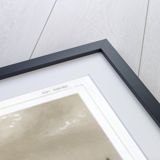 The Black Forest Mount Hope and Sierra Prieta, USA by E Stout