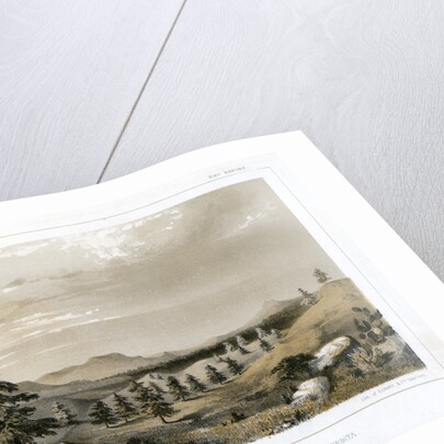 The Black Forest Mount Hope and Sierra Prieta, USA by E Stout