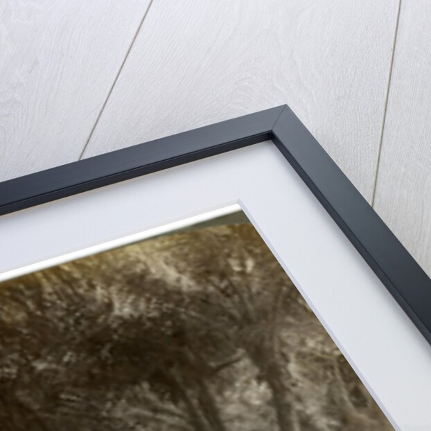 Avenue of coconut palms, Florida, USA by George Barker