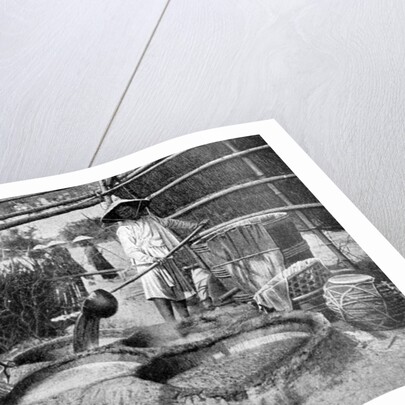 Clarifying sugar cane juce, Annam, Vietnam by Anonymous