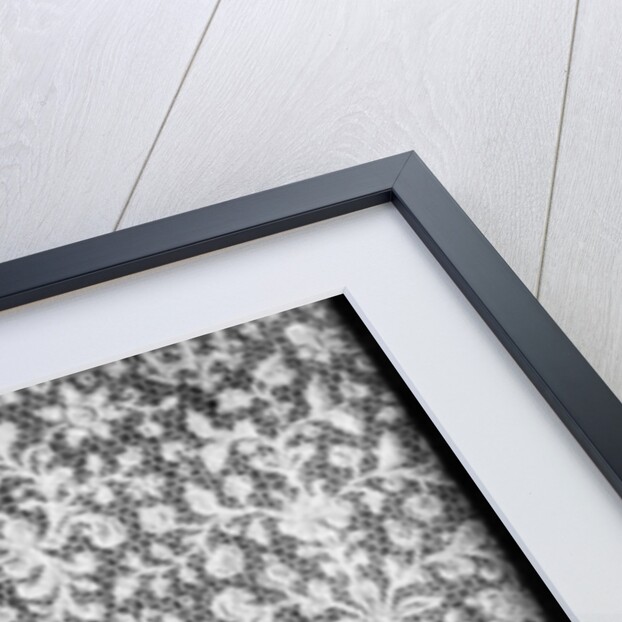 Raised Venetian or rose point lace by Bemrose