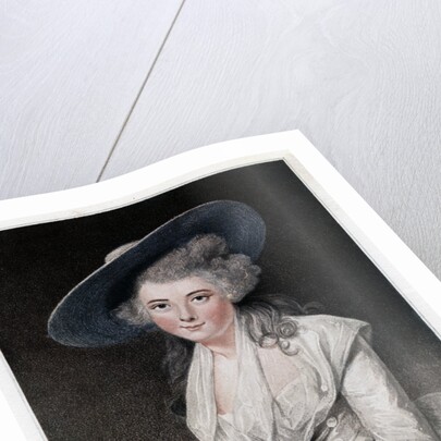 The Honourable Miss Bingham by Anonymous