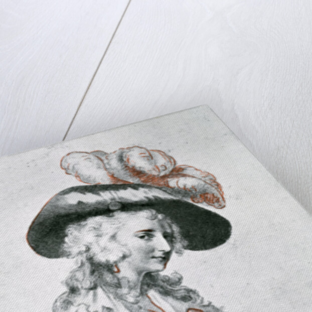 Portrait of a lady by William Lane