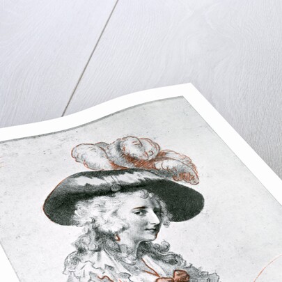 Portrait of a lady by William Lane