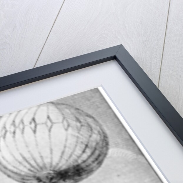 Ascension of a Montgolfier balloon by Anonymous