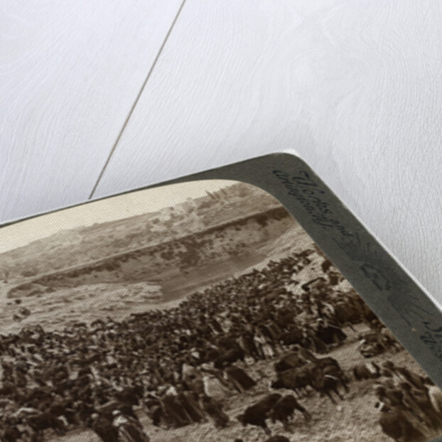 Cattle market day, in the lower pool of Gihon, Valley of Hinnom, Jerusalem, Palestine by Underwood & Underwood