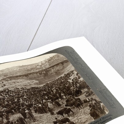 Cattle market day, in the lower pool of Gihon, Valley of Hinnom, Jerusalem, Palestine by Underwood & Underwood