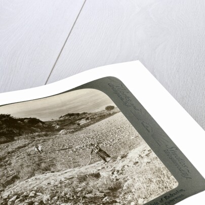 The rock of Elijah's Altar on Mount Carmel, and the Plain of Esdraelon, Palestine by Underwood & Underwood