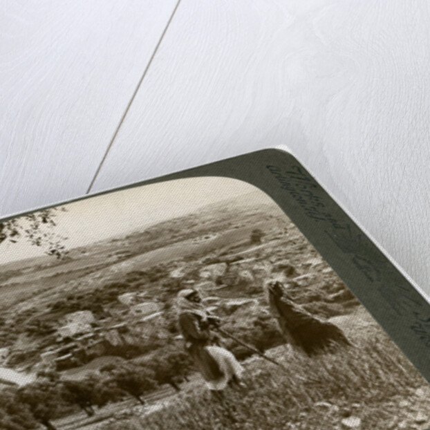 Bethany, as seen from the eastern slope of the Mount of Olives, Palestine by Underwood & Underwood