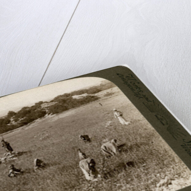 Gathering tares from wheat in the stony fields of Bethel (Baytin), Palestine by Underwood & Underwood