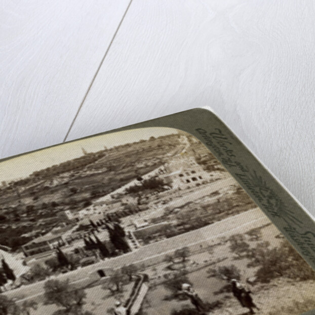 The Garden of Gethsemane and the Mount of Olives, Palestine by Underwood & Underwood
