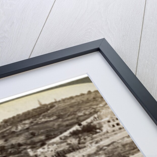 The Garden of Gethsemane and the Mount of Olives, Palestine by Underwood & Underwood