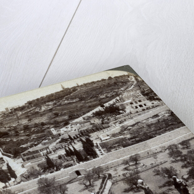The Garden of Gethsemane and the Mount of Olives, Palestine by Underwood & Underwood