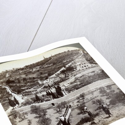 The Garden of Gethsemane and the Mount of Olives, Palestine by Underwood & Underwood