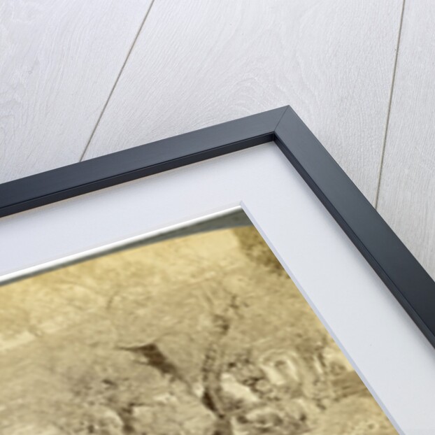 Ancient olive trees in the Garden of Gethsemane, near Jerusalem, Palestine by Underwood & Underwood