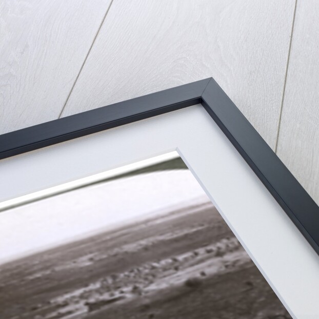The plain of the River Jordan, as seen from the ruins of ancient Jericho, Palestine by Underwood & Underwood