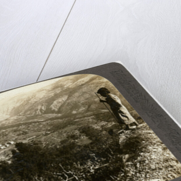 A silkworm plantation in the Lebanon mountains, Syria by Underwood & Underwood