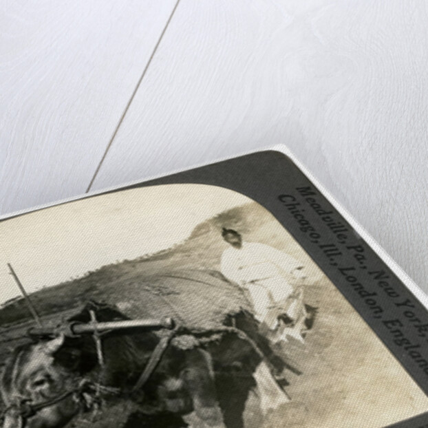 Farming near Seoul, South Korea by Keystone View Company