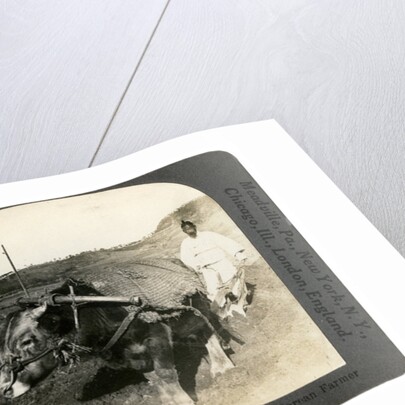 Farming near Seoul, South Korea by Keystone View Company