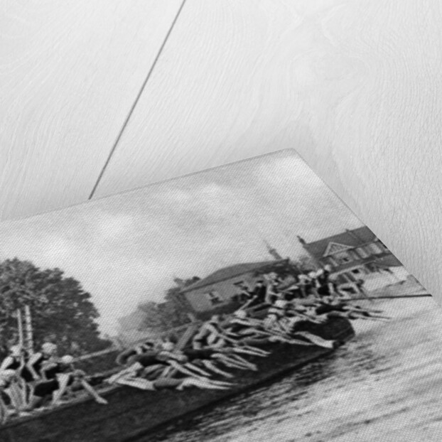 The annual Kew to Putney ladies' swimming race, London by Anonymous