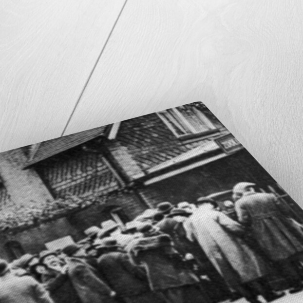 A queue for the zoo on a national holiday, London by Anonymous