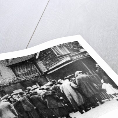 A queue for the zoo on a national holiday, London by Anonymous