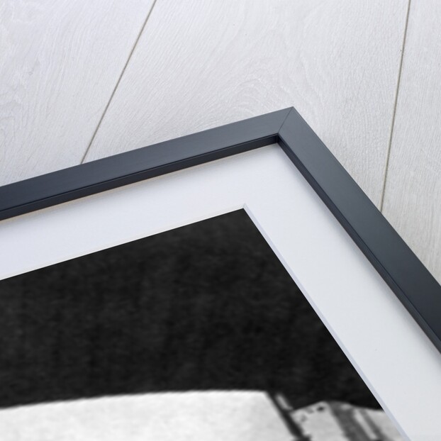 The Embankment, London by Anonymous