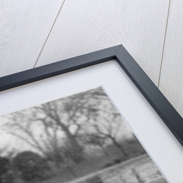Children feeding the swans on the Serpentine, London by Anonymous