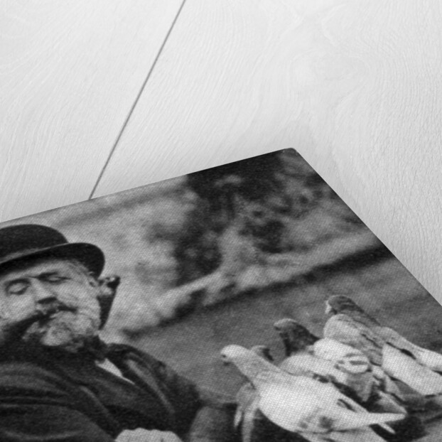 Pigeons of St Paul's with a vagrant, London by McLeish