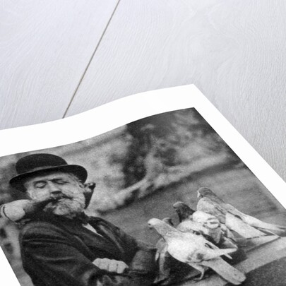 Pigeons of St Paul's with a vagrant, London by McLeish