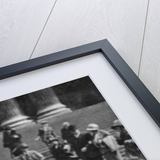 Pigeons in Trafalgar Square, London by Anonymous