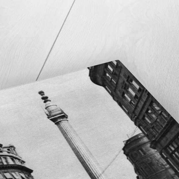 The Monument to the Great Fire, London by McLeish