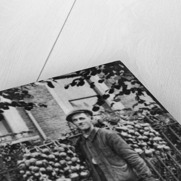 Breton onion seller, London by McLeish