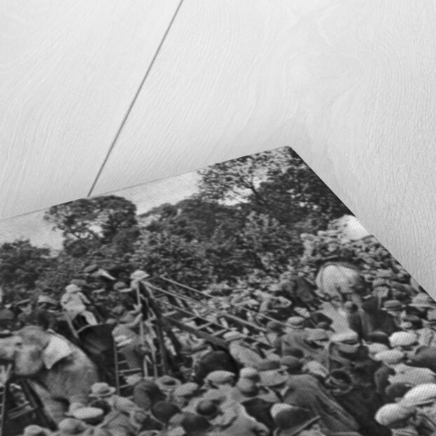 Elephant rides at London Zoo by McLeish