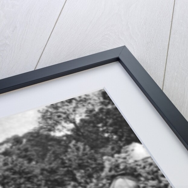 Elephant rides at London Zoo by McLeish