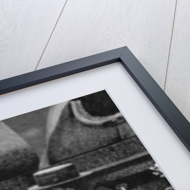 Flower sellers, Piccadilly Circus, London by Anonymous