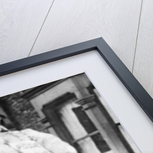 Guy Fawkes Day, London by Anonymous