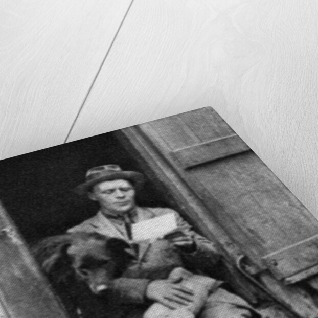 George Donald, Scottish shepherd, Hyde Park, London by Anonymous