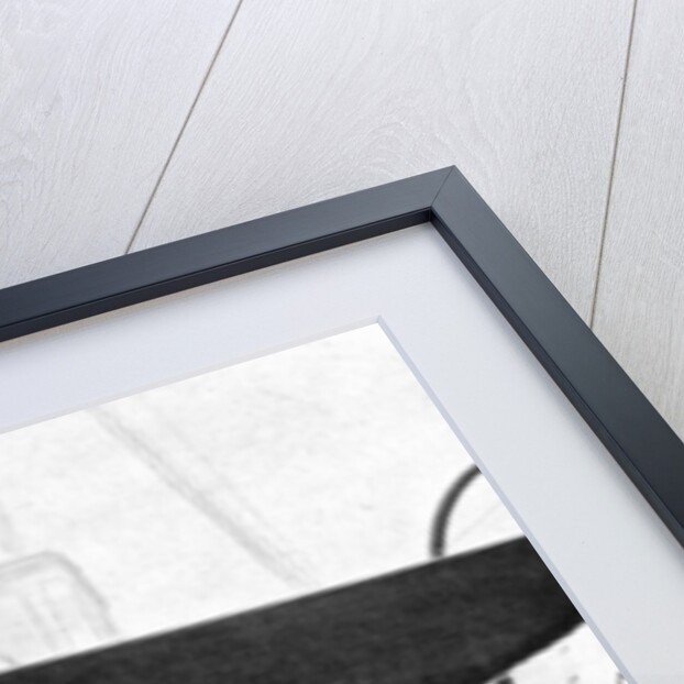 Group portrait on board the royal yacht Victoria and Albert, Copenhagen by Queen Alexandra