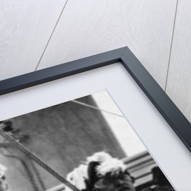 The Lords of the Admiralty at the Naval Review of 1907 by Queen Alexandra