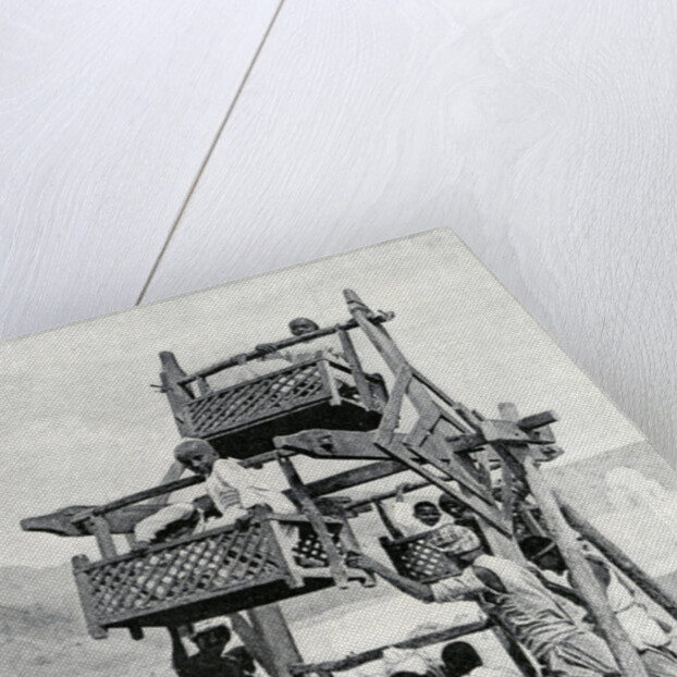 Arabian children enjoying a 'big-wheel' by Anonymous