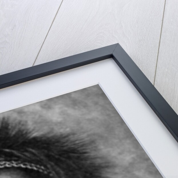 Captain of a company of cannibal fighting men, New Guinea by Anonymous